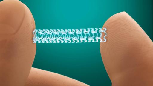 Absorb Dissolvong Heart Stent